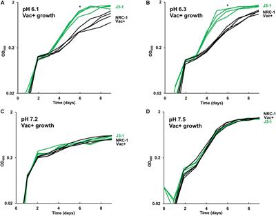 Acid Experimental Evolution of the Haloarchaeon Halobacterium sp. NRC-1 Selects Mutations Affecting Arginine Transport and Catabolism